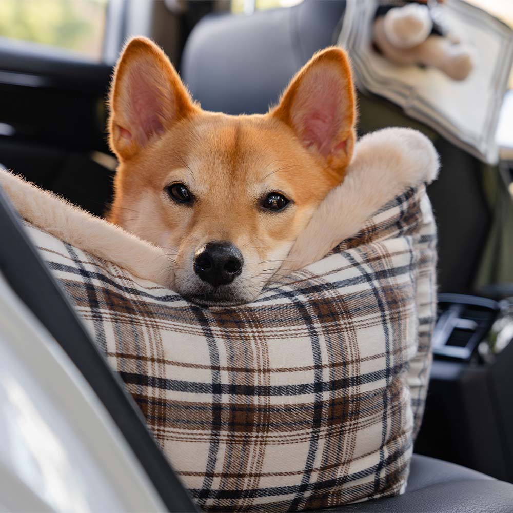 Plastová autosedačka pro domácí mazlíčky – RideSafe CozySeat