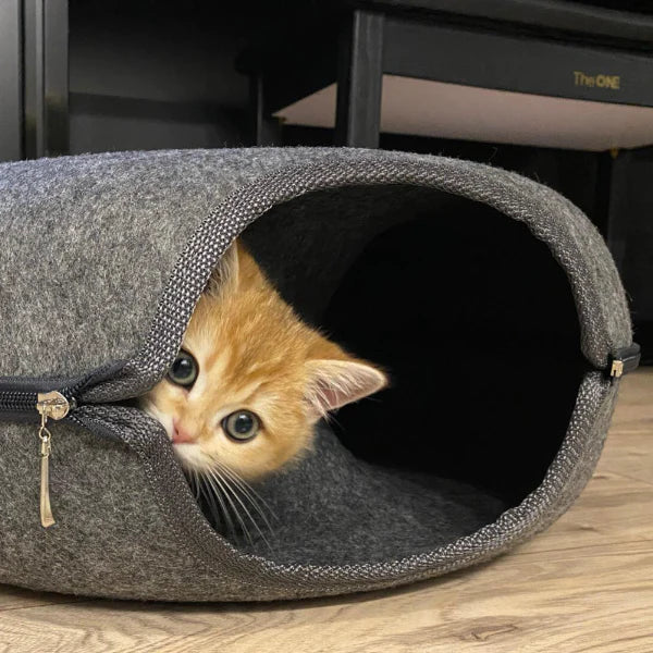Kätzchen in grauer Filzhöhle, gemütliches Katzenbett, Haustierversteck, modernes Design.