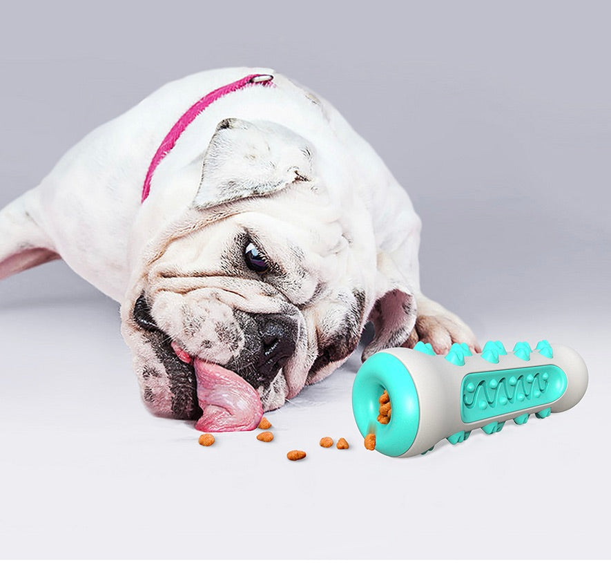 Žvýkací hračka na čištění zubů pro psy – Chewly