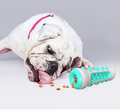 Žvýkací hračka na čištění zubů pro psy – Chewly