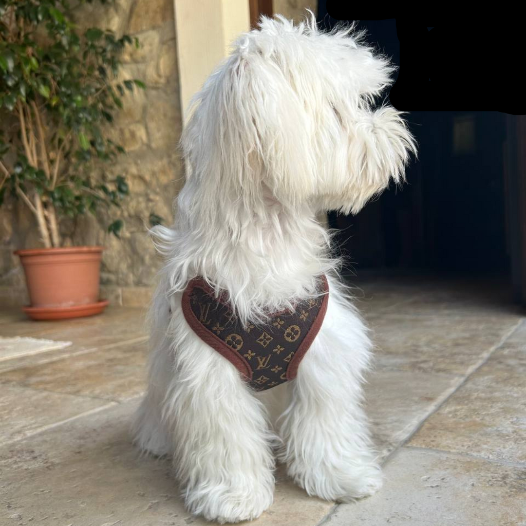 Hodinové vodítko a popruh – PawLuxe