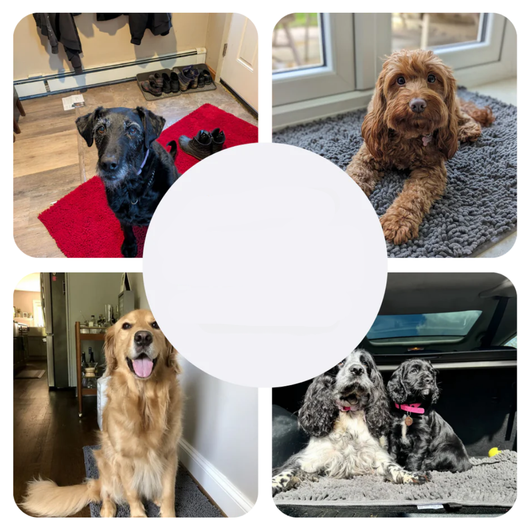 Super absorbující psí podložka – PawMat