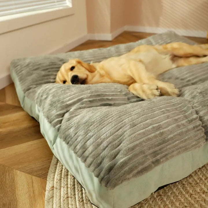 Gelber Labrador auf grauem, gestreiftem Hundebett aus Plüsch auf Holzboden.