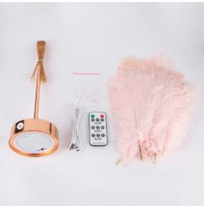 Rosa Federlampe mit Fernbedienung, USB-Kabel, dekorative Beleuchtung, modernes Design.