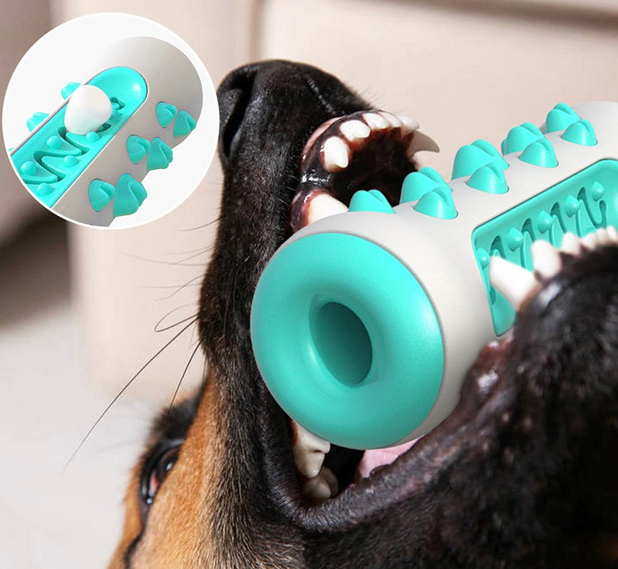 Žvýkací hračka na čištění zubů pro psy – Chewly