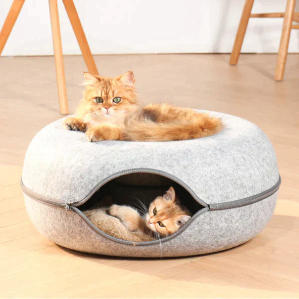 Katzenbett aus Filz, grau, mit Reißverschluss, zwei Katzen, gemütlich, modernes Design.