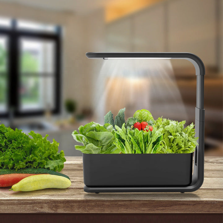 Schwarzer Indoor-Kräutergarten mit LED-Licht, frische grüne Salate, Küche im Hintergrund.