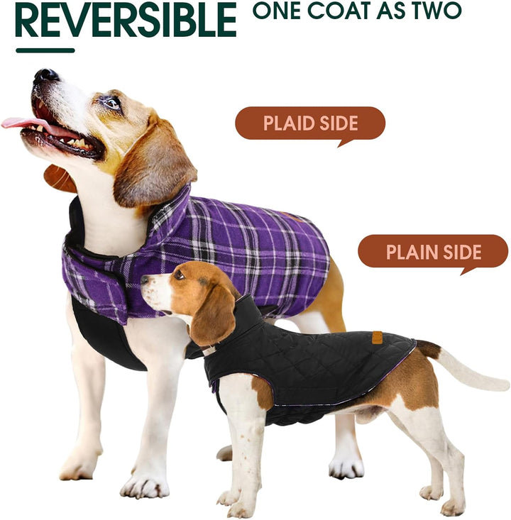 Wendbare Hundejacke, lila Karo und schwarz, warm, wasserdicht, für kleine bis mittelgroße Hunde.