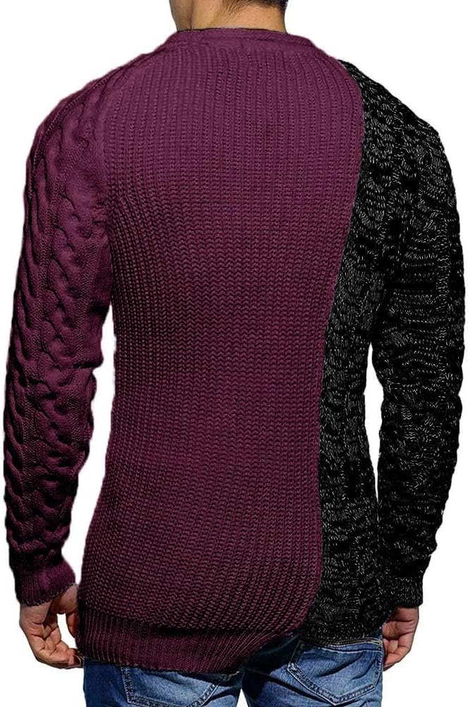 Zweifarbiger Herrenpullover, lila und schwarz, Strickmuster, modisch, Rückansicht.