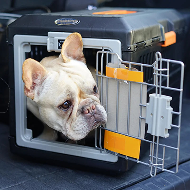 Französische Bulldogge in tragbarer, faltbarer Haustier-Transportbox, schwarz-grau, robust.