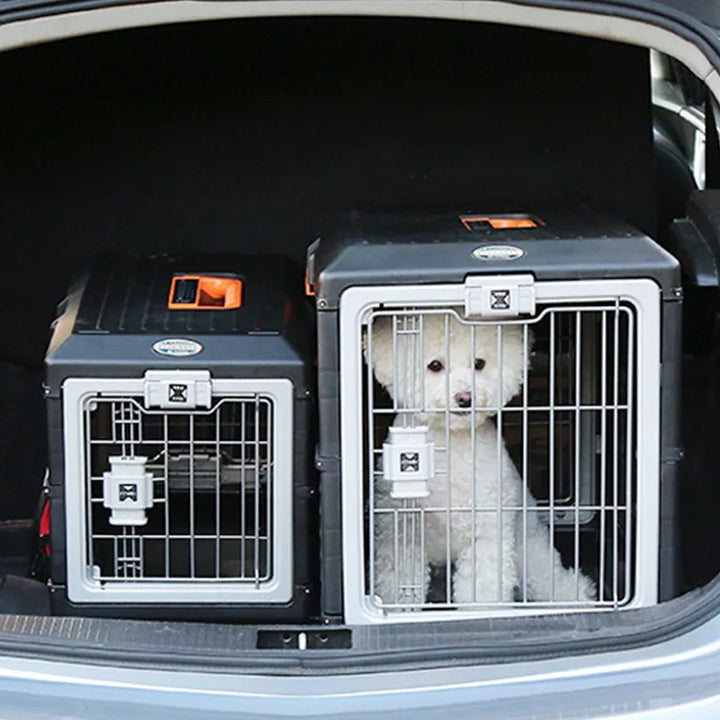 Tragbare faltbare Haustierbox, schwarz, für Hunde und Katzen, robust, Auto-Transportbox.