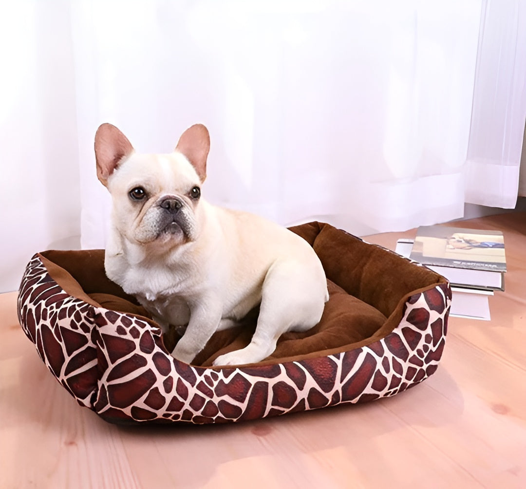 Französische Bulldogge im luxuriösen, weichen Plüsch-Haustierbett mit Giraffenmuster.