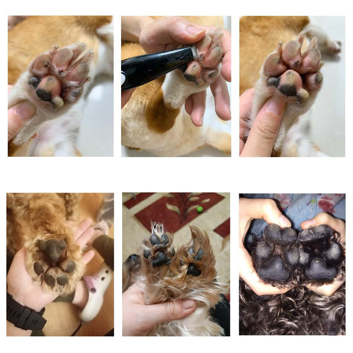 Péče o domácí zvíře - stříhací strojek PawPerfect