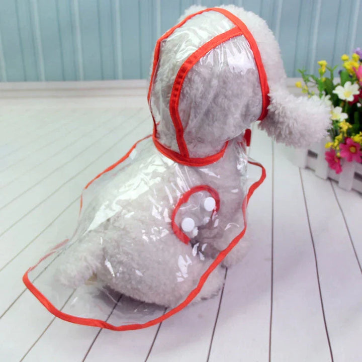 Hund in transparentem Regenmantel mit rotem Rand, Innenbereich, Blumen im Hintergrund.