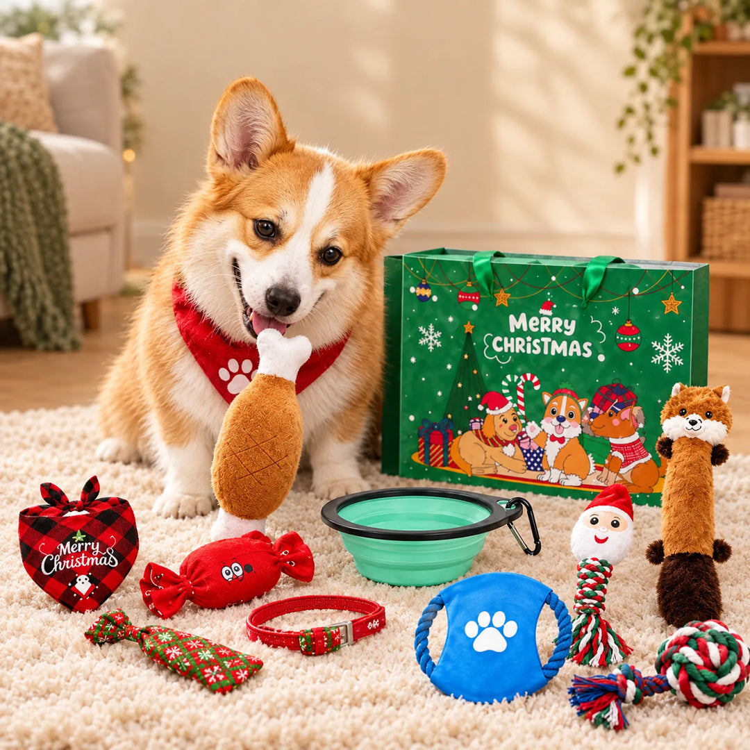 Usměvavý corgi v červeném šátku si hraje s plyšovým kuřecím stehýnkem, kolem něj leží vánoční hračky, miska a zelená dárková taška. 1