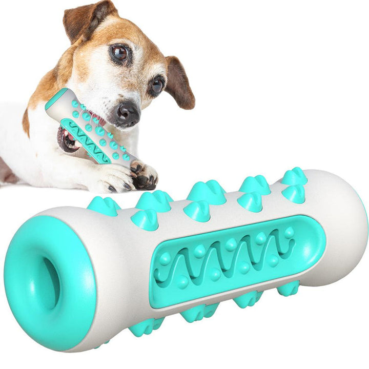 Žvýkací hračka na čištění zubů pro psy – Chewly