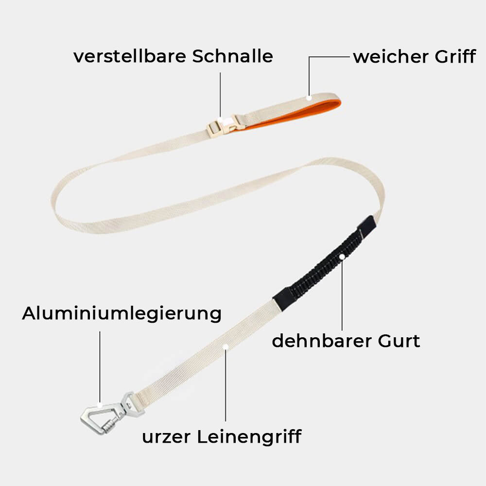 Leichtes, wasserdichtes, atmungsaktives Hundegeschirr mit verstellbarer Schnalle und Leine.