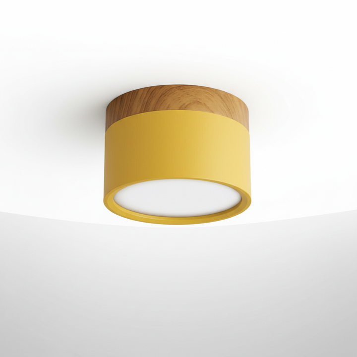Moderne Deckenleuchte Metall Acryl - Ceilora