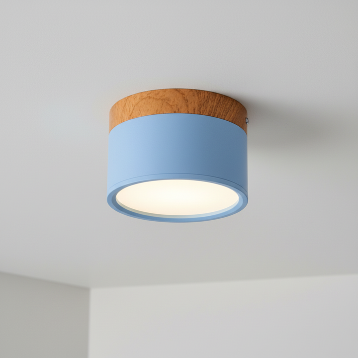 Moderne Deckenleuchte Metall Acryl - Ceilora