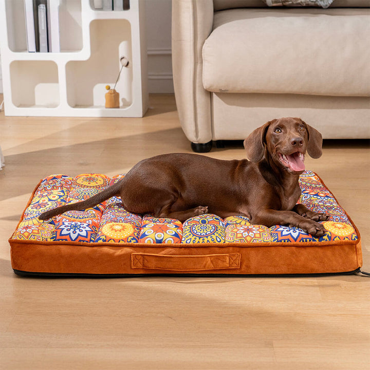 Braunes Dackel auf marokkanischem orthopädischem Hundebett, buntes Muster, Wohnzimmer.