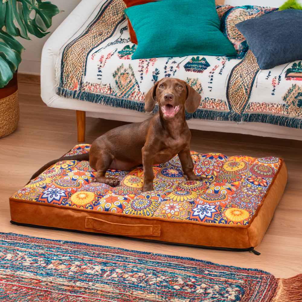 Braunes Hundebett mit marokkanischem Muster, orthopädisch, komfortabel, Hund sitzt darauf.