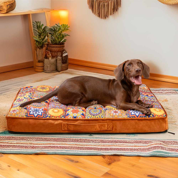 Braunes Hundebett mit marokkanischem Muster, orthopädisch, komfortabel, Hund liegt darauf.
