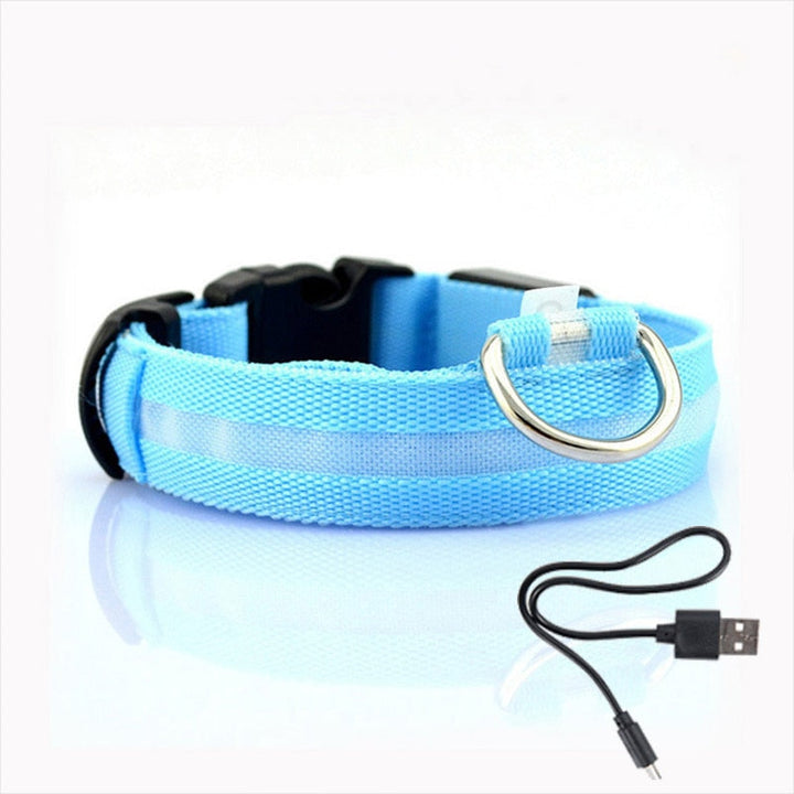 Blaues LED-Hundehalsband mit USB-Ladekabel, reflektierend, verstellbar, für Sicherheit bei Nacht.