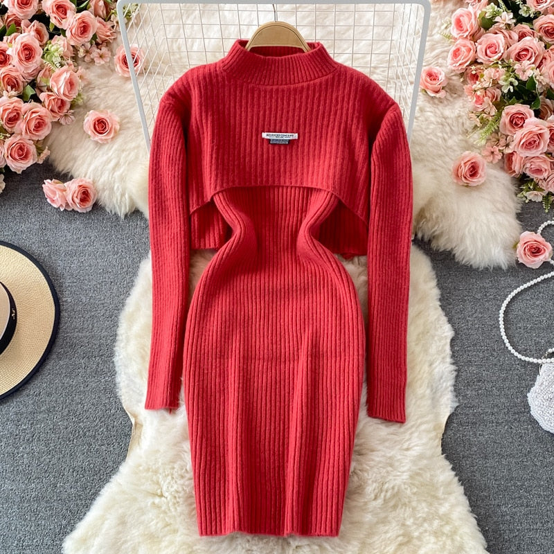 Rotes Strickkleid mit Rollkragen, langärmelig, elegantes Design, auf Teppich mit Rosen.