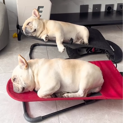 Zwei schlafende französische Bulldoggen auf roten und schwarzen Hundeliegen im Wohnzimmer.
