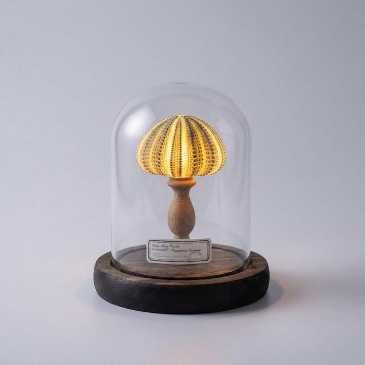 Seashell Inspired Nightlight -  Ocealyn