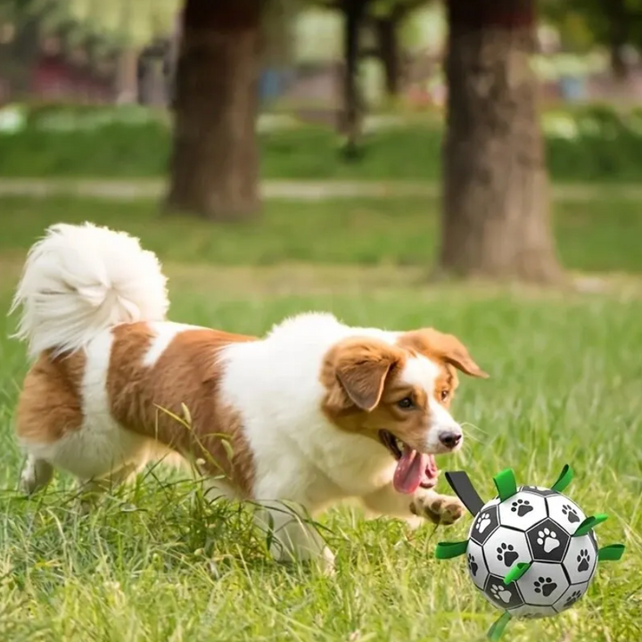 Udržitelný psí sportovní míč s madly - TugBounce