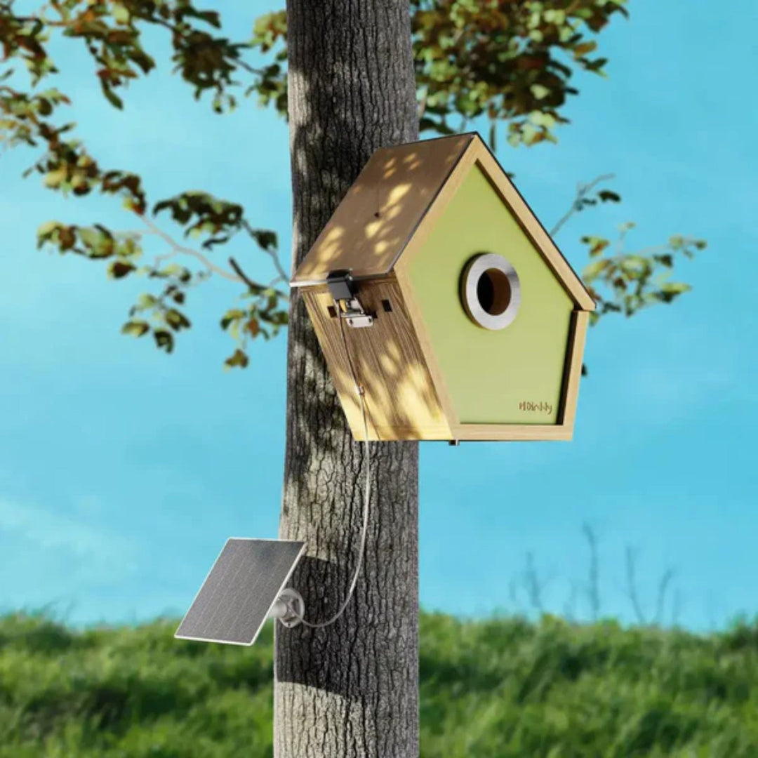 Solarbetriebenes Kamera Nistkasten - Birdara
