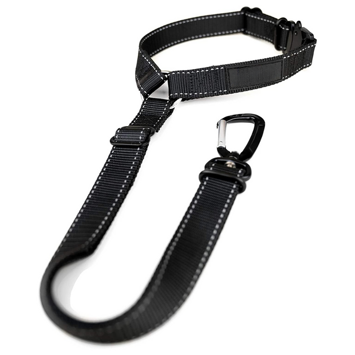 Schwarze Hundeleine aus Nylon mit Karabinerhaken, verstellbar, strapazierfähig, für Hunde.