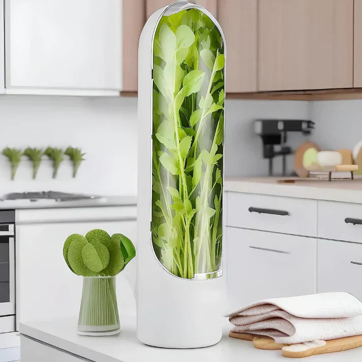 Moderner weißer Kräutergarten für die Küche, vertikales Design, frische grüne Pflanzen.