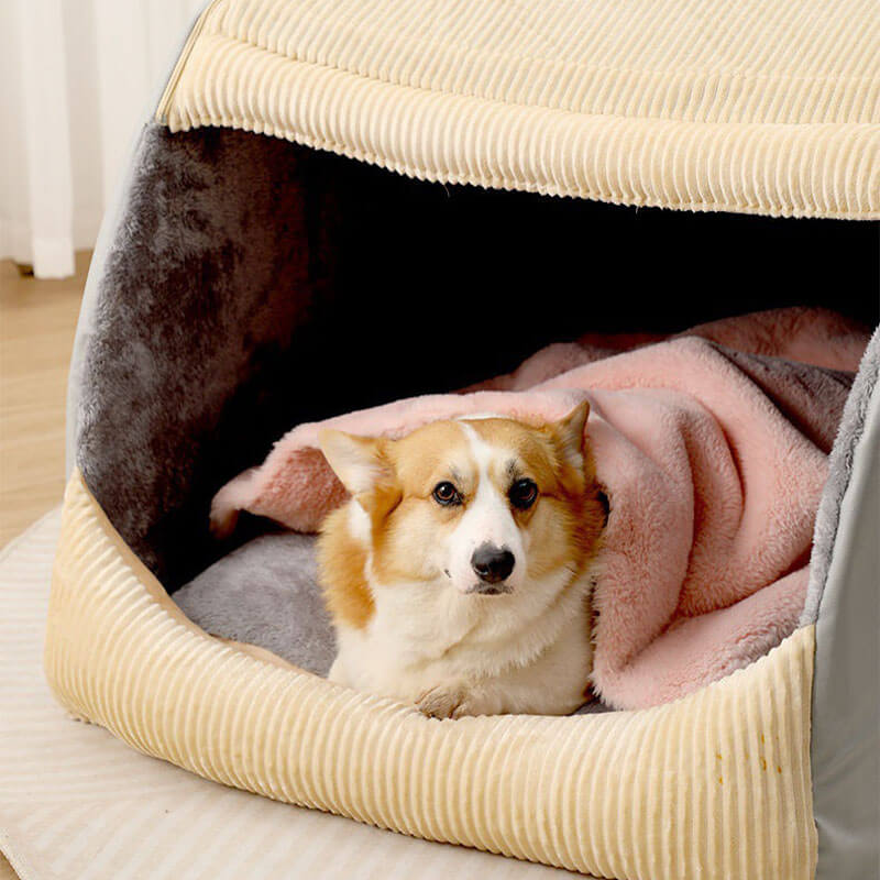 Großes, abnehmbares Hundezelt aus warmem Flanell, halbgeschlossen, beige, mit Corgi.
