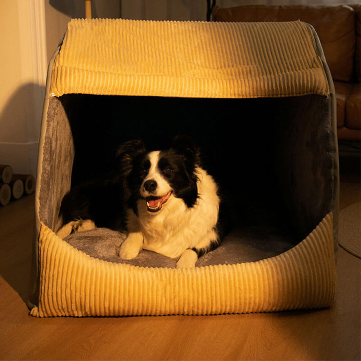 Schwarz-weißer Hund in gelbem, abnehmbarem Flanell-Hundezelt, halbgeschlossen, groß.