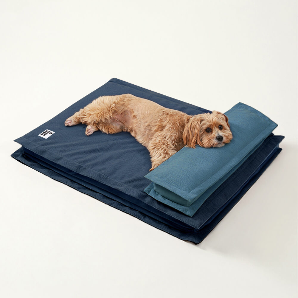 Wasserdichtes, blaues Hundebett mit Anti-Angst-Funktion und Schwammunterstützung.