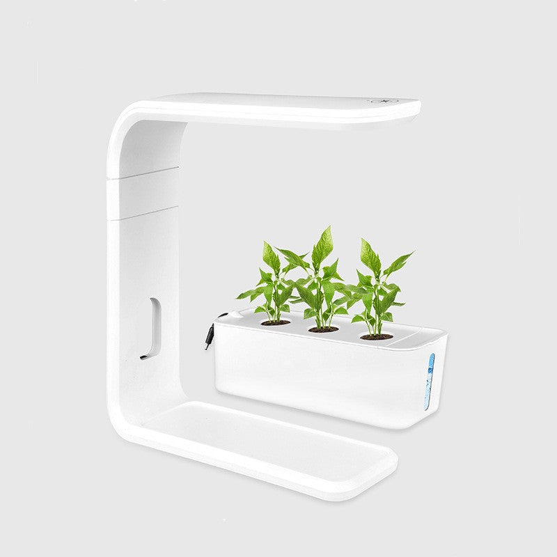 Weiße LED-Pflanzenlampe mit drei grünen Setzlingen, modernes Design, Indoor-Gartenbau.