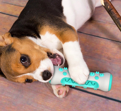 Žvýkací hračka na čištění zubů pro psy – Chewly