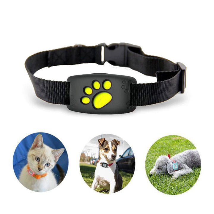 Inteligentní GPS obojek pro kočky a malé psy – PawTrack