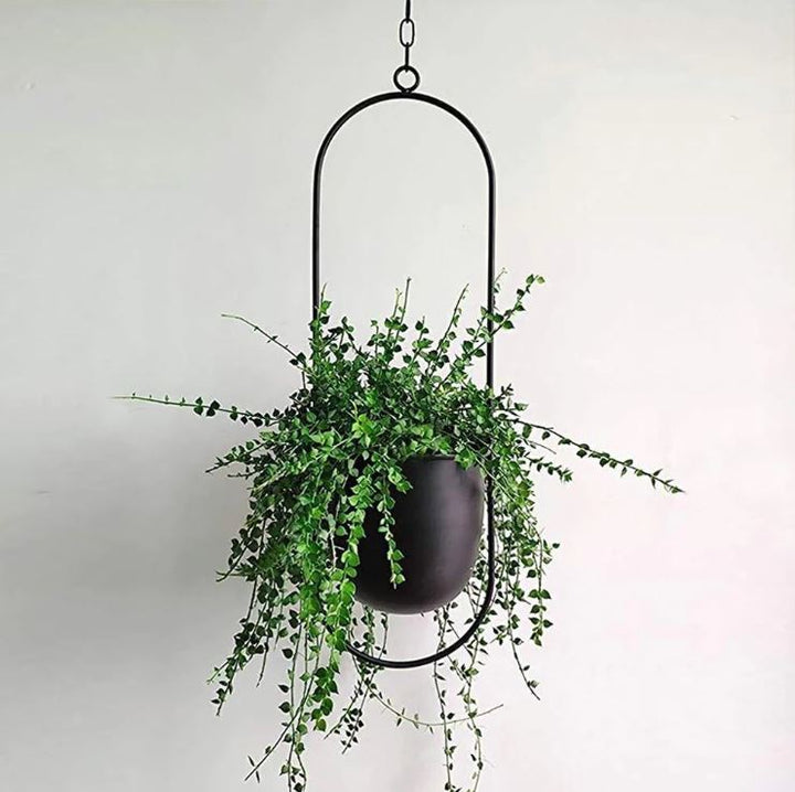 Schwarzer ovaler hängender Blumentopf mit grüner Pflanze, moderner Innendekor, Metallrahmen.