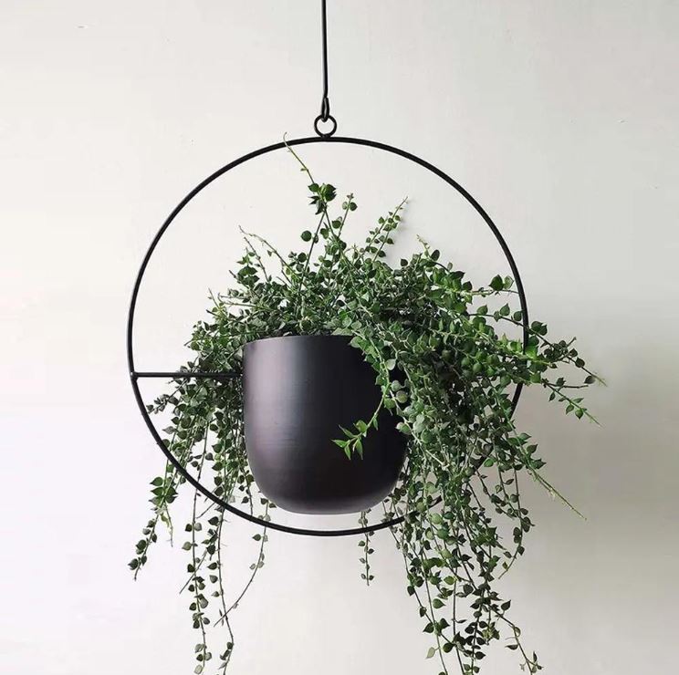 Schwarzer hängender Blumentopf mit runden Metallrahmen, moderne Zimmerpflanze Dekoration.
