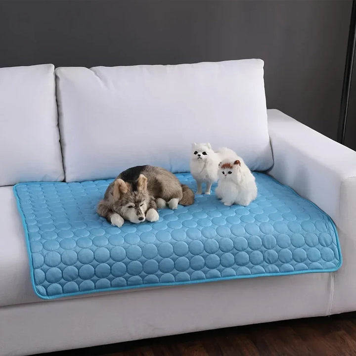 Blaue wasserdichte Hundedecke auf weißem Sofa mit drei Plüschhunden, rutschfest, maschinenwaschbar.