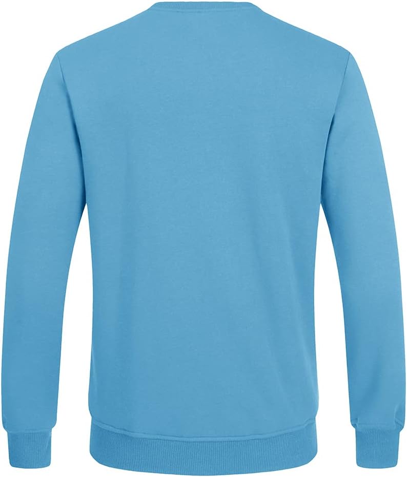 Blauer Herrenpullover, langärmelig, Baumwolle, Rückansicht, modisch, bequem, Freizeitkleidung.