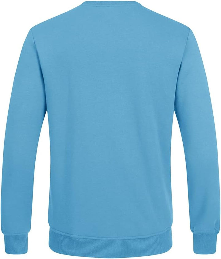 Blauer Herrenpullover, langärmelig, Baumwolle, Rückansicht, modisch, bequem, Freizeitkleidung.