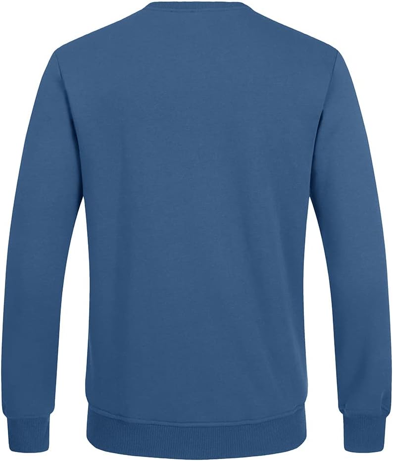 Blauer Herrenpullover, langärmelig, Baumwolle, Rückansicht, modisch, bequem, Freizeitkleidung.