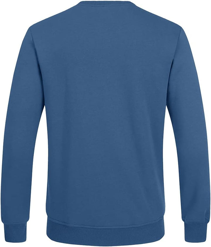 Blauer Herrenpullover, langärmelig, Baumwolle, Rückansicht, modisch, bequem, Freizeitkleidung.