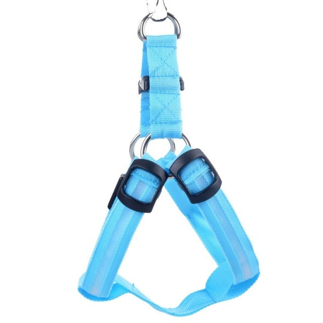 Blaues Hundegeschirr aus Nylon, verstellbar, robust, für kleine bis mittelgroße Hunde.