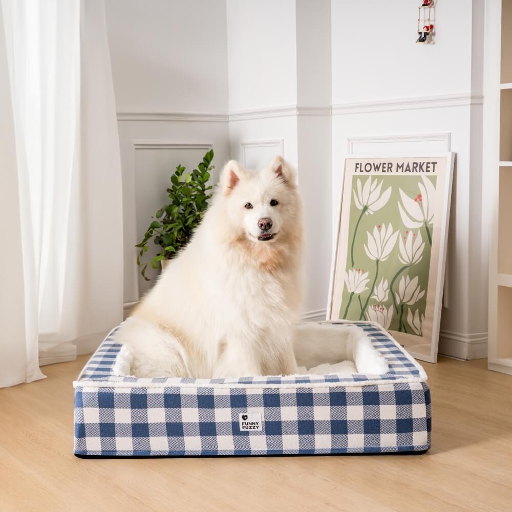 Weißer Hund auf blau-weiß kariertem Hundebett im Wohnzimmer, neben Pflanzen und Blumenposter.
