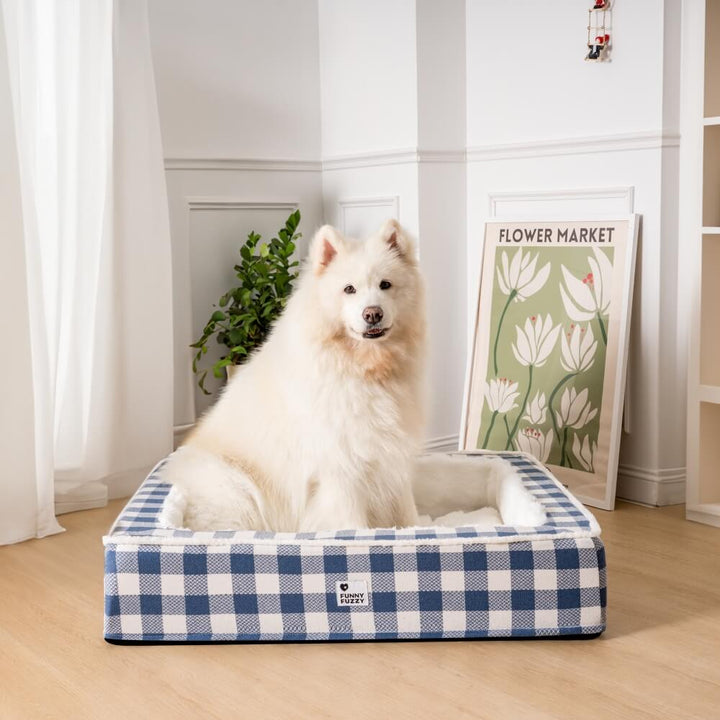 Weißer Hund auf blau-weiß kariertem Hundebett im Wohnzimmer, neben Pflanzen und Blumenposter.